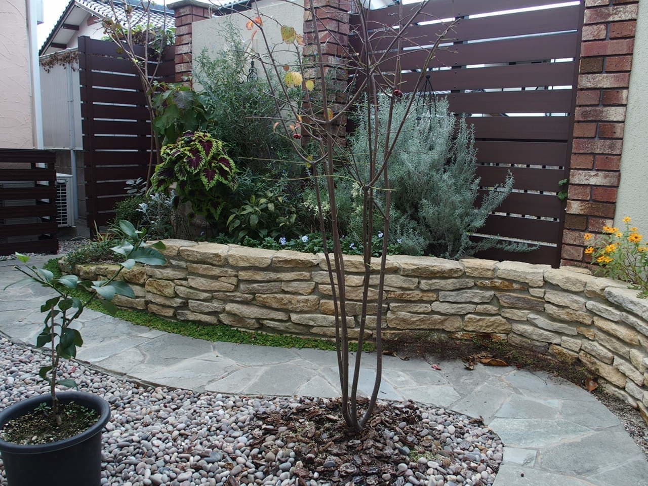 pb170031.jpg