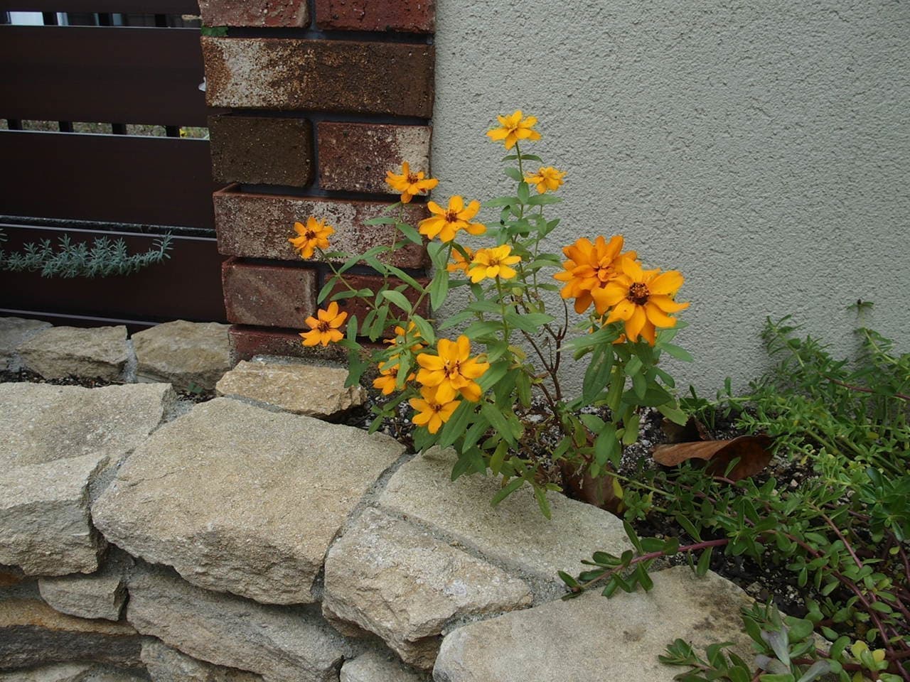 pb170032.jpg